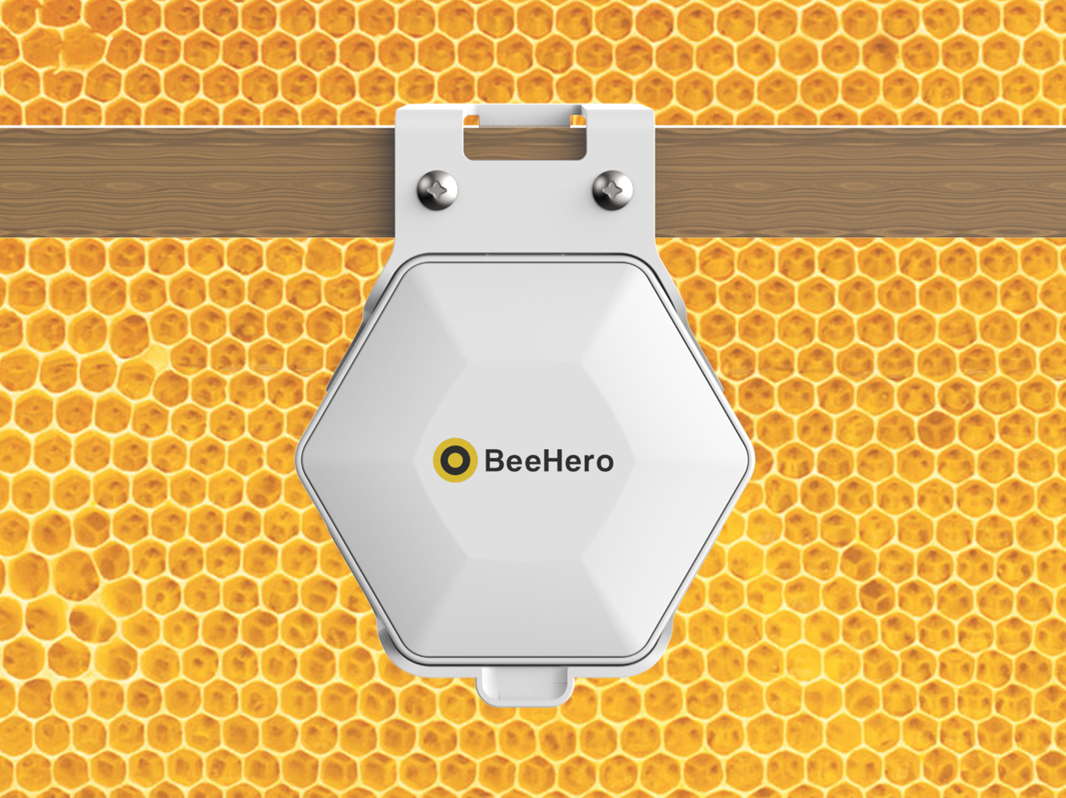 BeeHero 